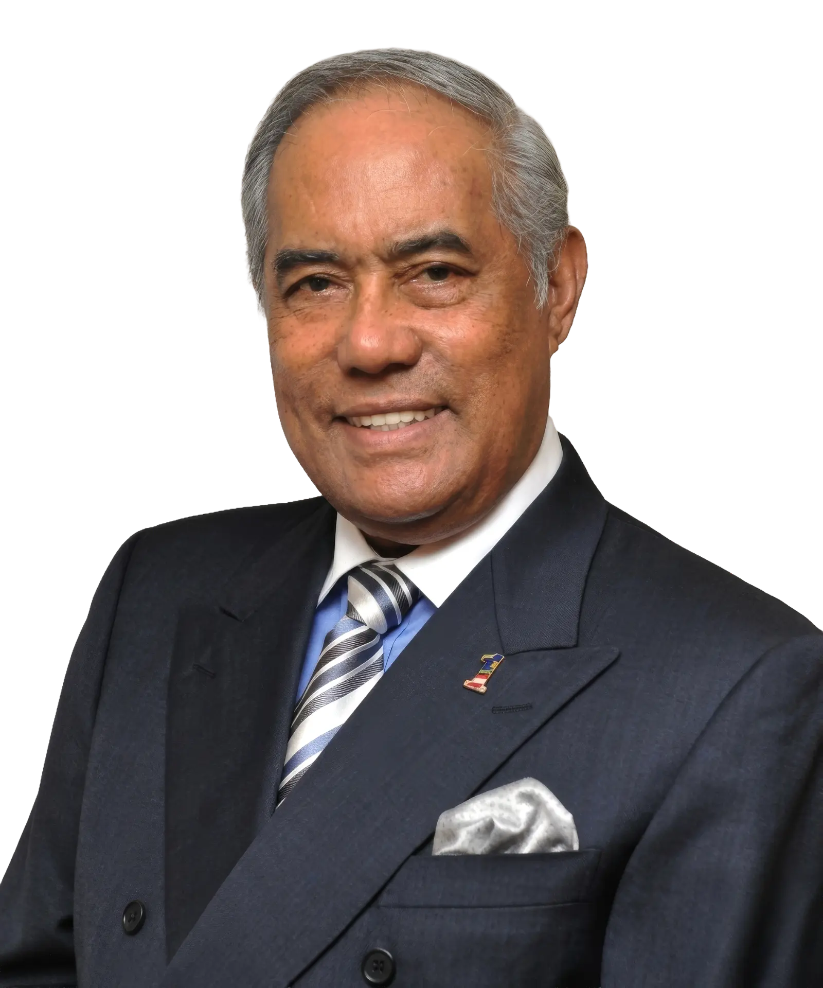 Tan Sri Dato' Seri (Dr.) Hj Megat Najmuddin